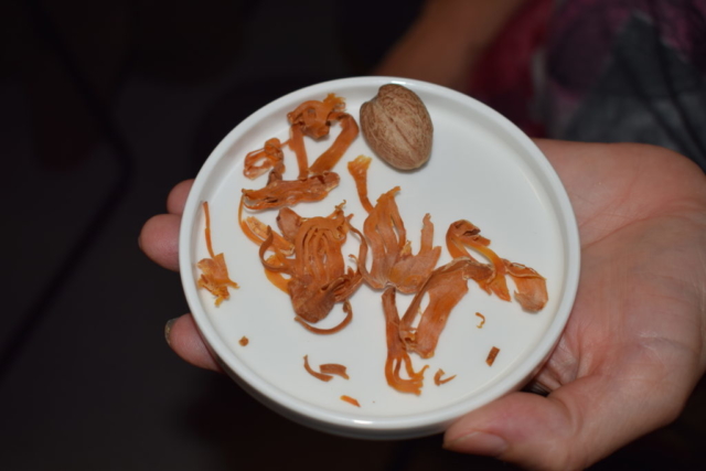 Spotkanie autorskie Jędrzej Majka Spotkanie autorskie Jędrzej Majka